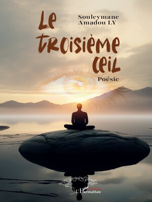 cover image of Le troisième œil